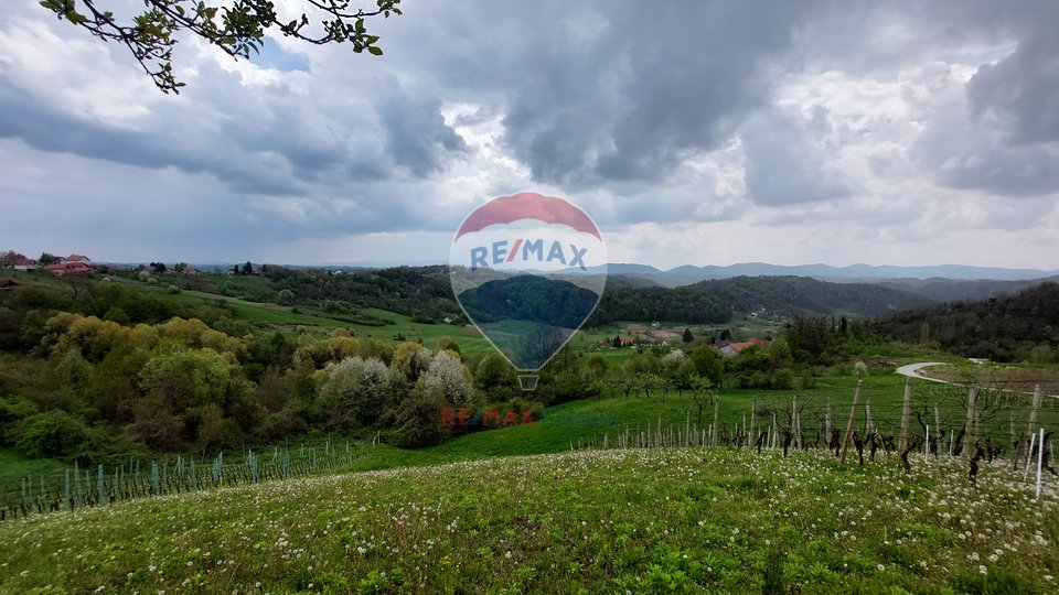 House for sale in the wonderful place of Vinagora