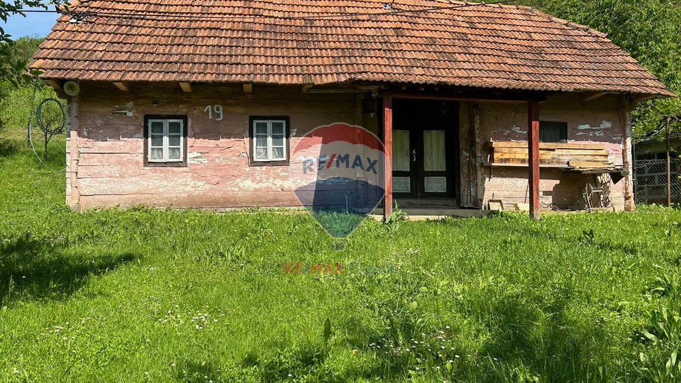 Beautiful estate with a wooden house 50m2, ZABOK
