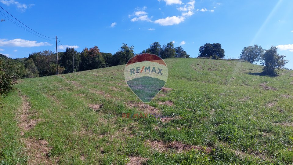 KUĆA SA VELIKIM IMANJEM, DONJA ŠEMNICA