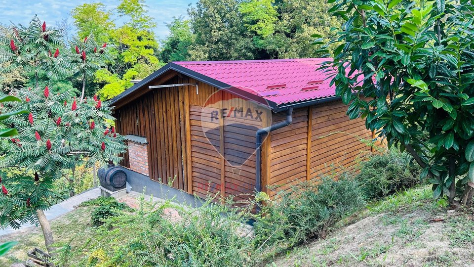 COTTAGE IN ZELENIL, FOR REST AND RELAXATION