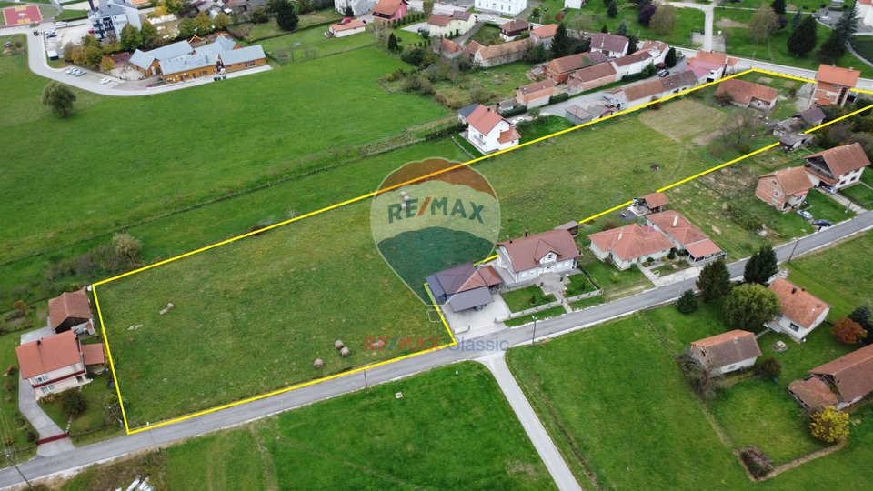 LAND FOR SALE 10,000M2, VELIKO TRGOVIŠĆE